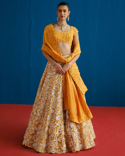 Celia Lehenga Set