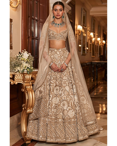 The Vintage Matsya Palace Ekru Lehenga Set
