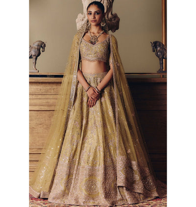 The Royal Masai Landscape Aged Pistachio Tissue Lehenga Set