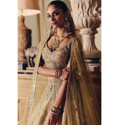 The Royal Masai Landscape Aged Pistachio Tissue Lehenga Set