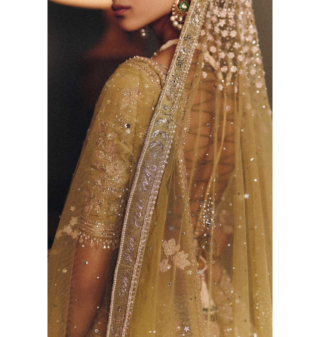 The Royal Masai Landscape Aged Pistachio Tissue Lehenga Set