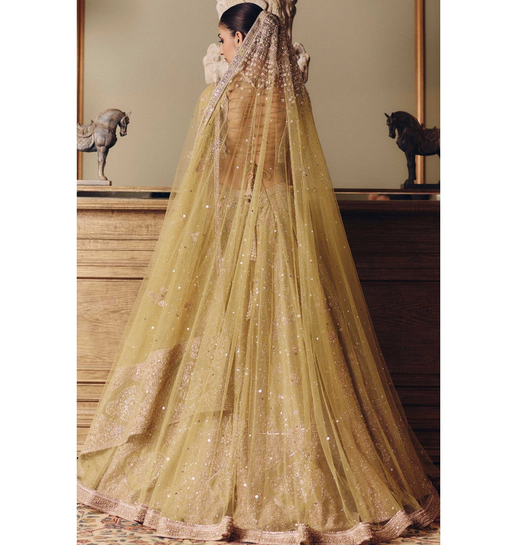 The Royal Masai Landscape Aged Pistachio Tissue Lehenga Set