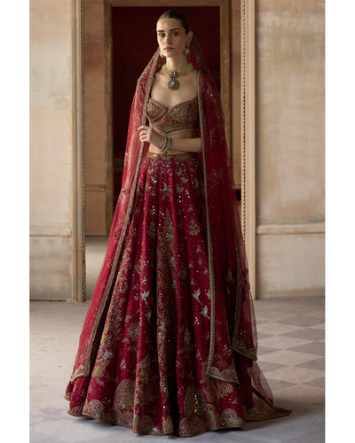 The Royal Tree of Life Scarlet Lehenga Set