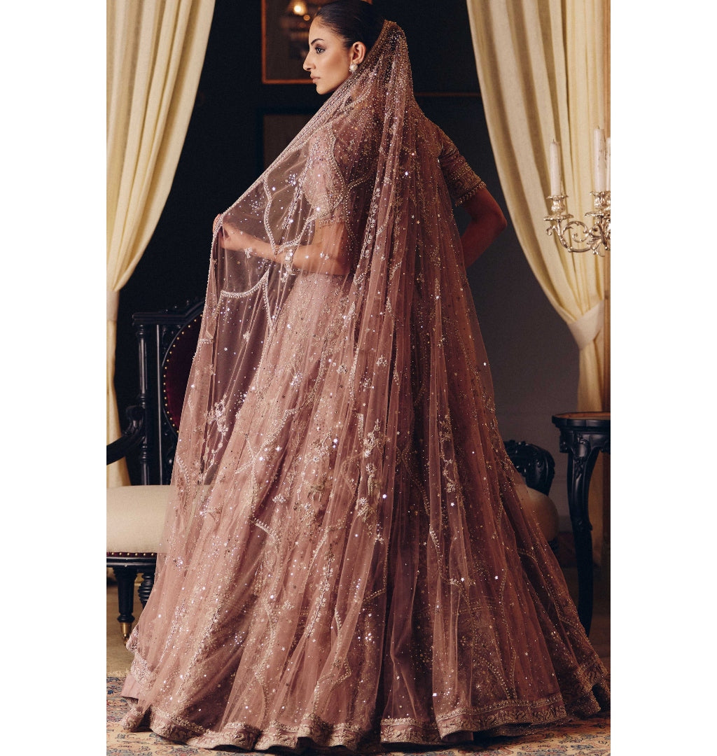 The Tara Lehenga in Tissue Set