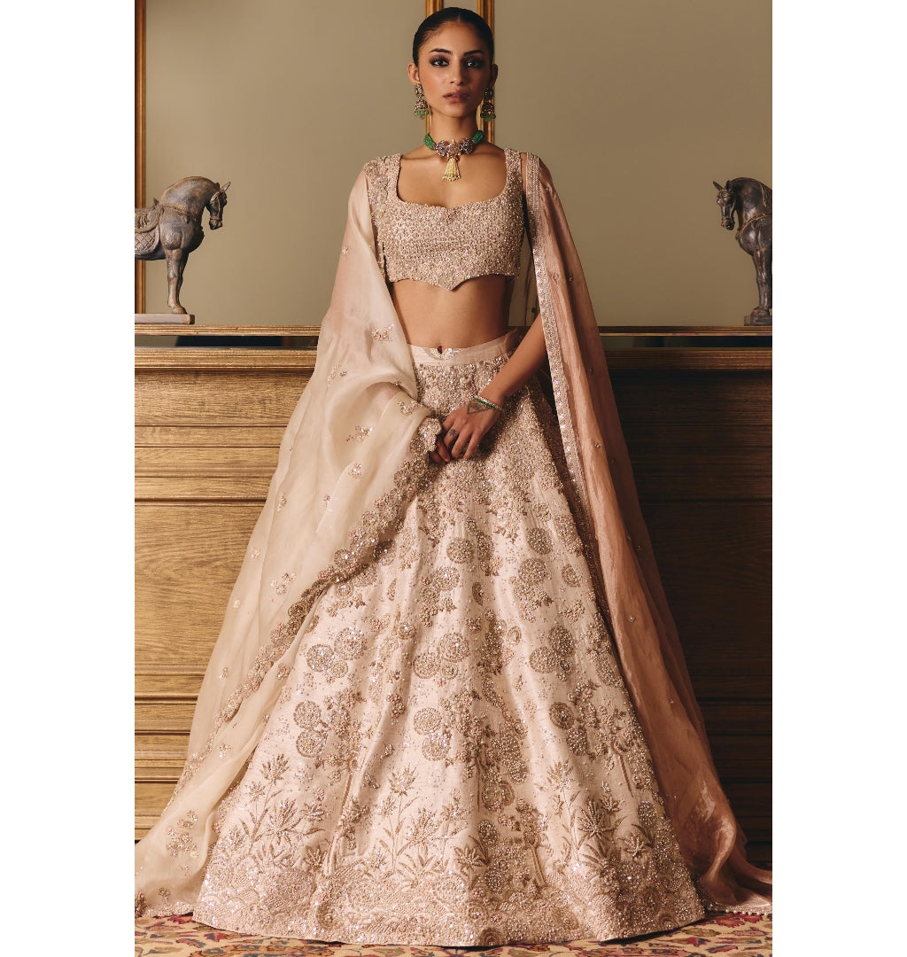 The Royal Ekru Saga Lehenga Set