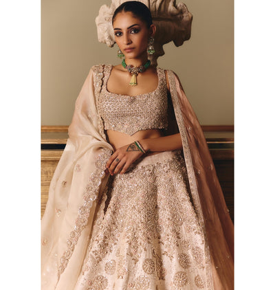 The Royal Ekru Saga Lehenga Set