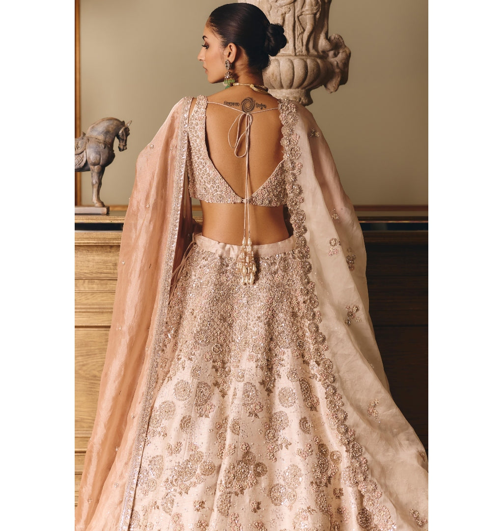 The Royal Ekru Saga Lehenga Set