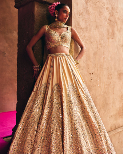 Champagne Gold Raw Silk Lehenga Set