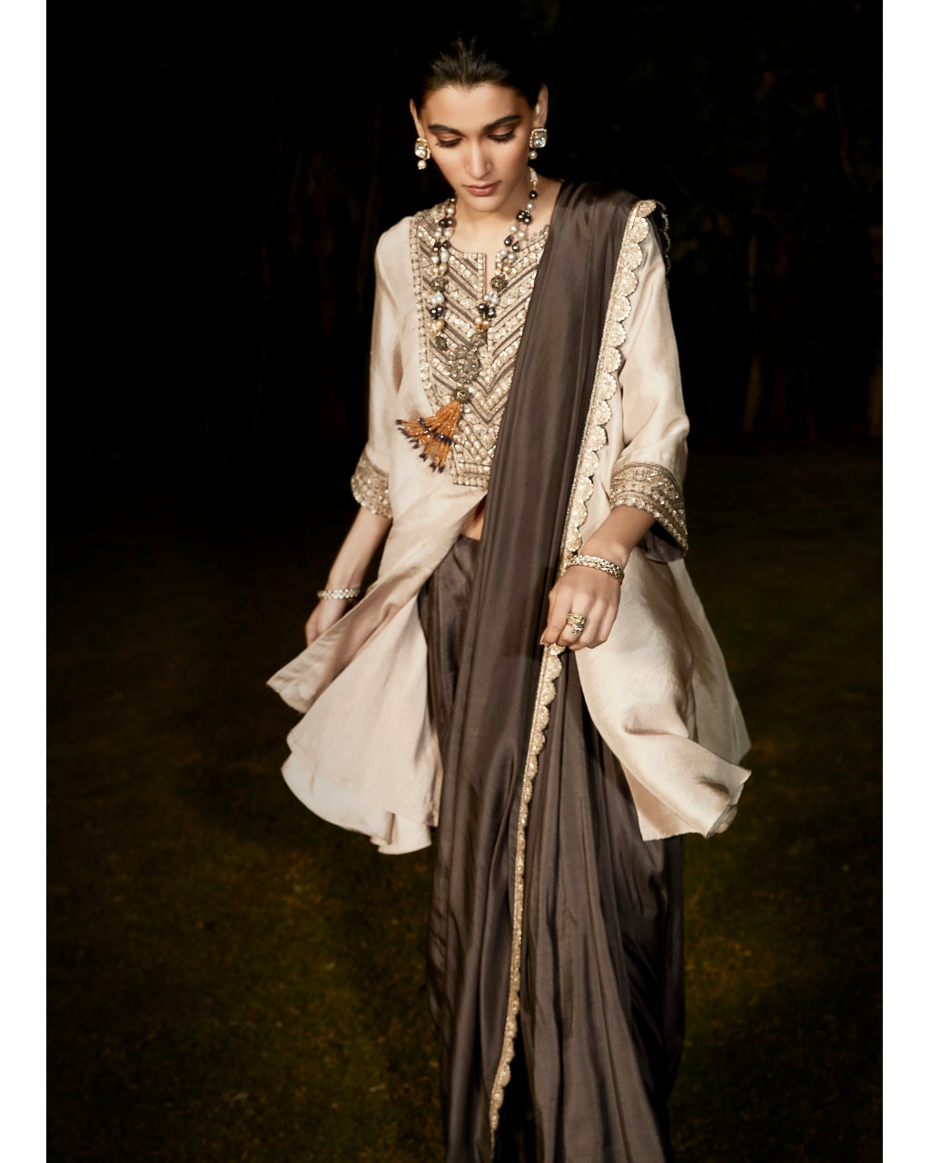 The Parsi Parisian Sari