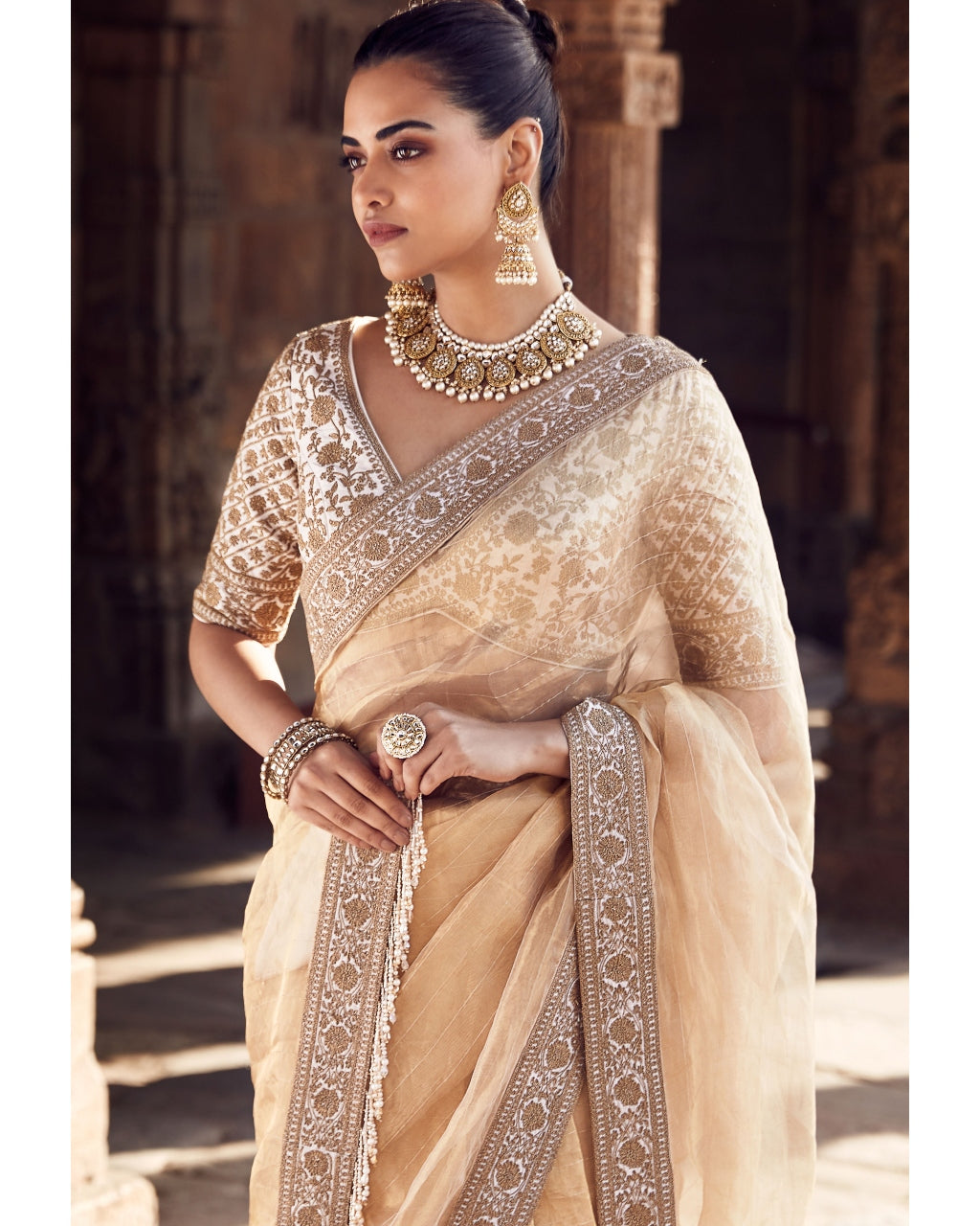 The Sona Kora Gold Tissue Sari