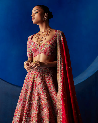Ahvi Lehenga Set