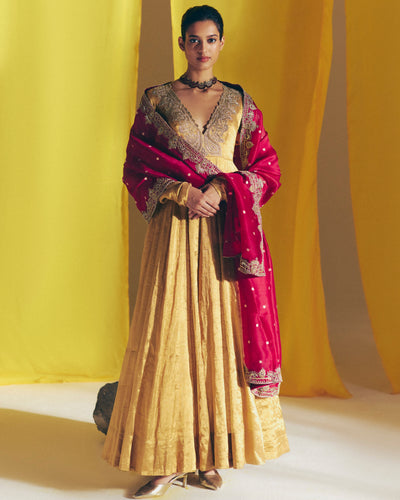 Arna Anarkali Set