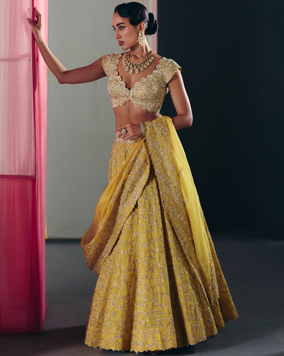 Taara Lehenga Set