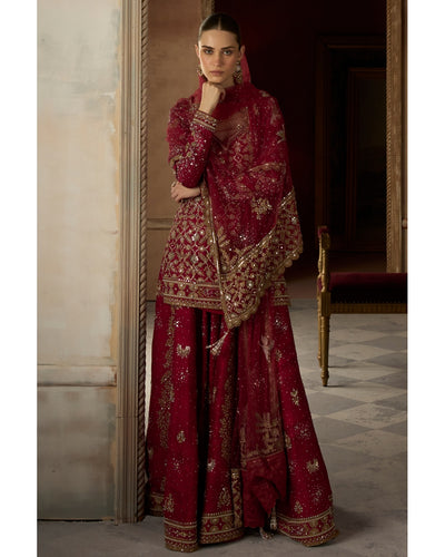 The Birds of Paradise Scarlet Sharara Set