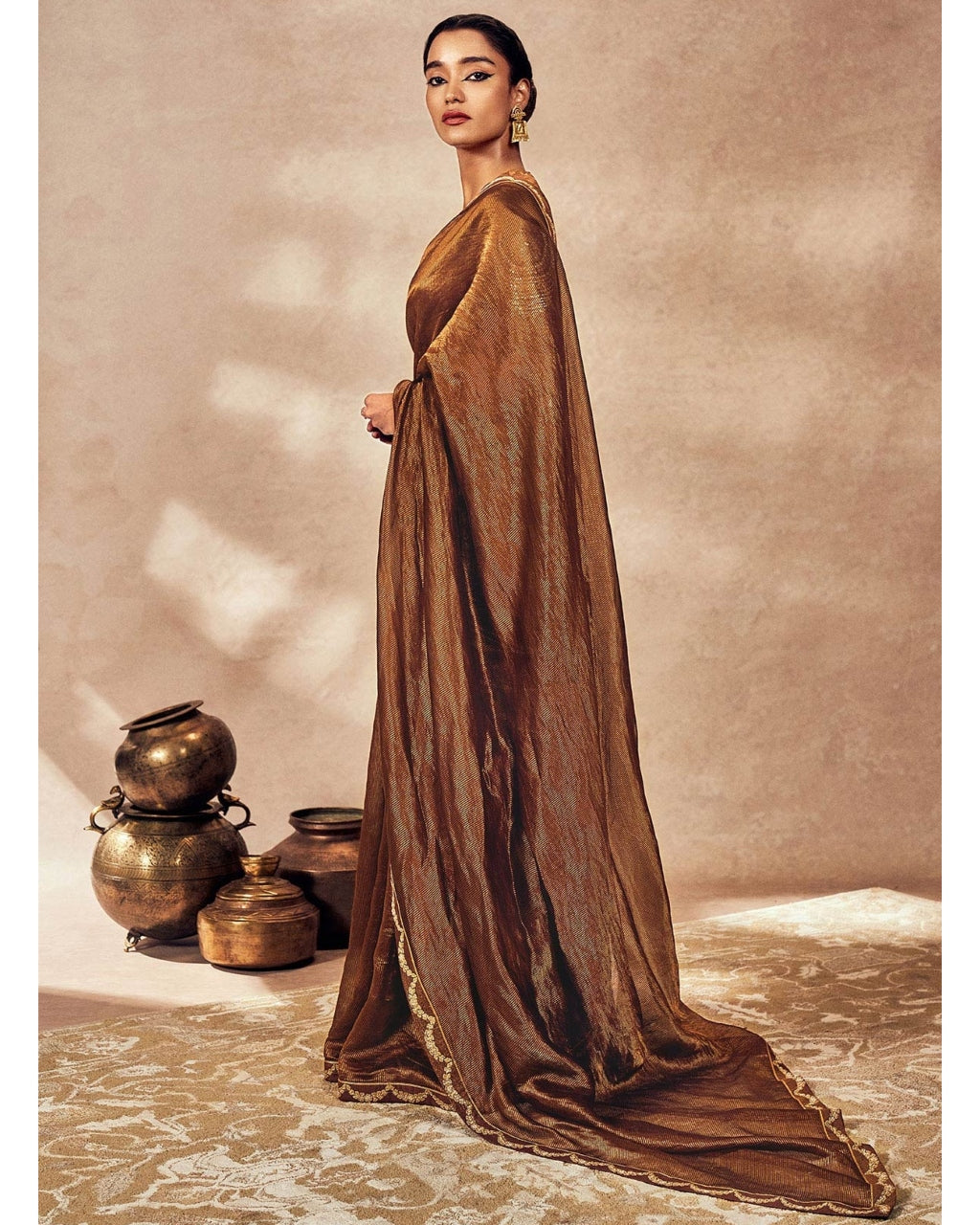 Brown Madakal Tissue Sari Set