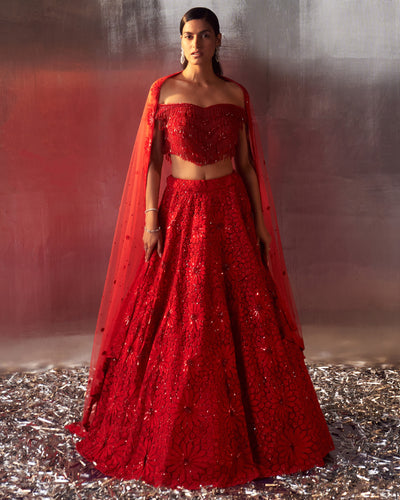 Red Net Lehenga Set