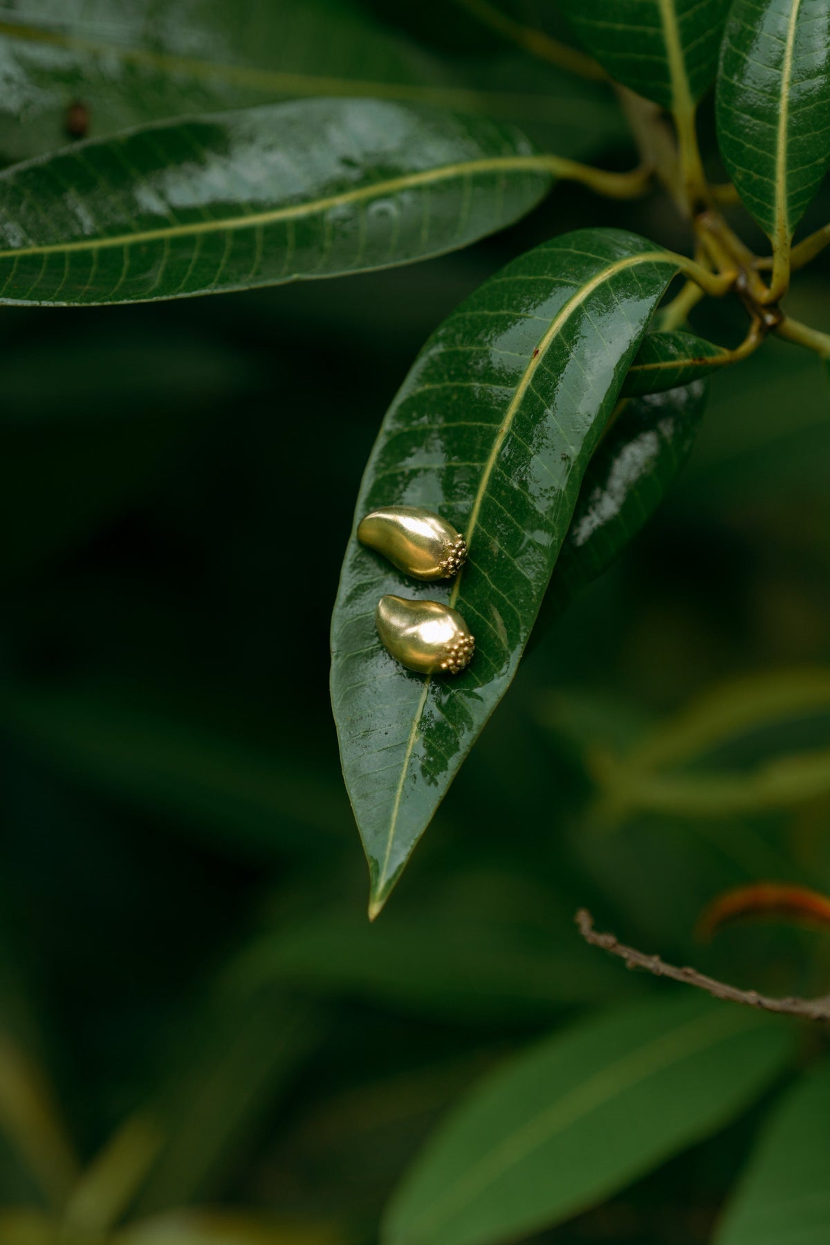 Mango Charm Studs