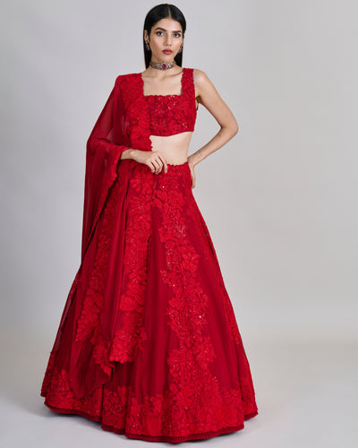 Red Roselle Lehenga Set