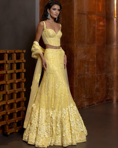 Heliora Lehenga Set