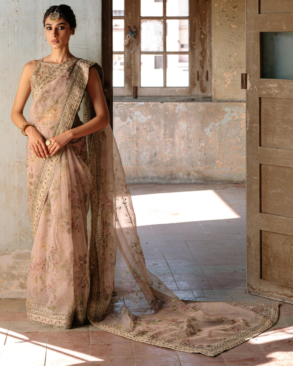 Nude Printed Organza Sari set