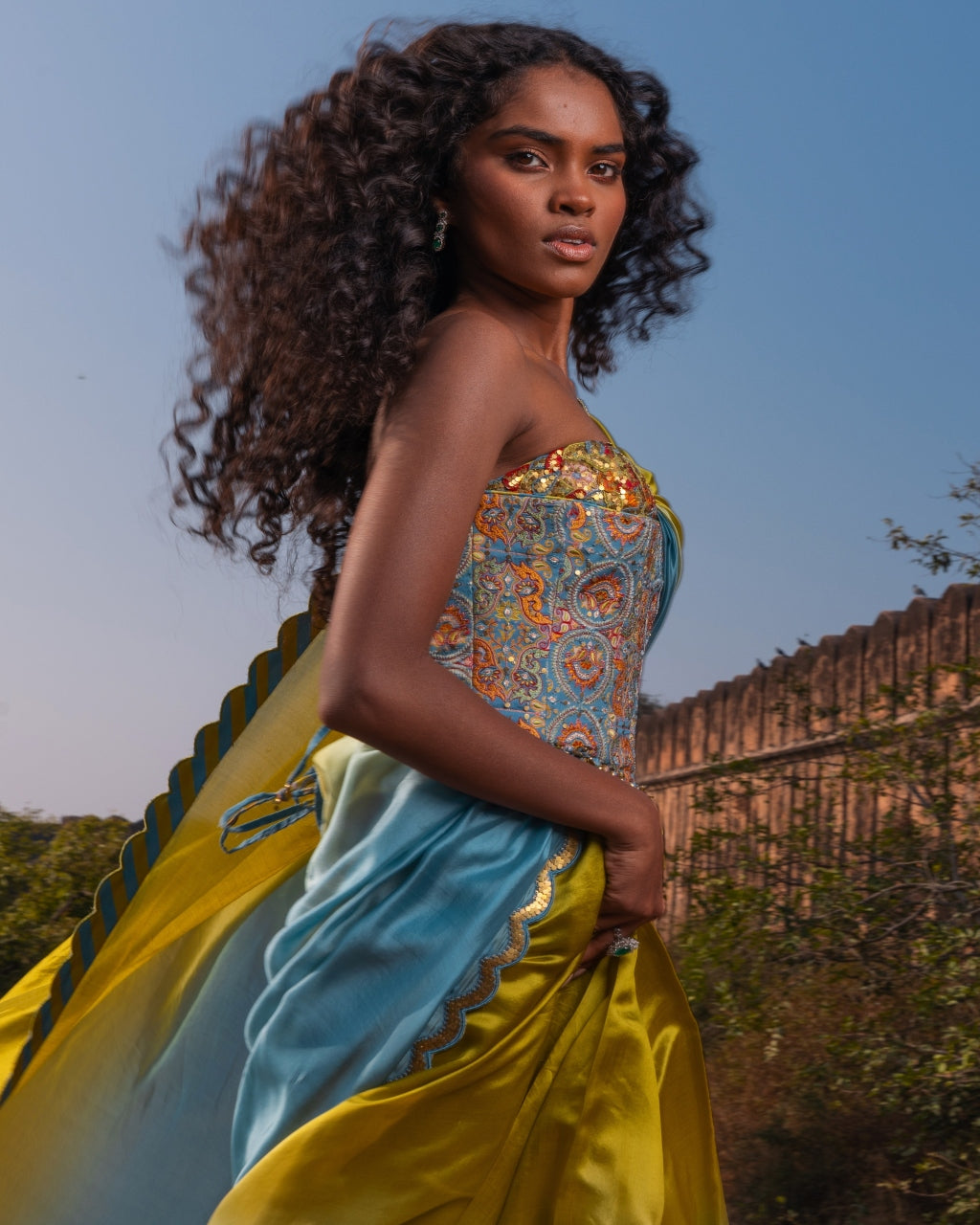 The Corset Sari