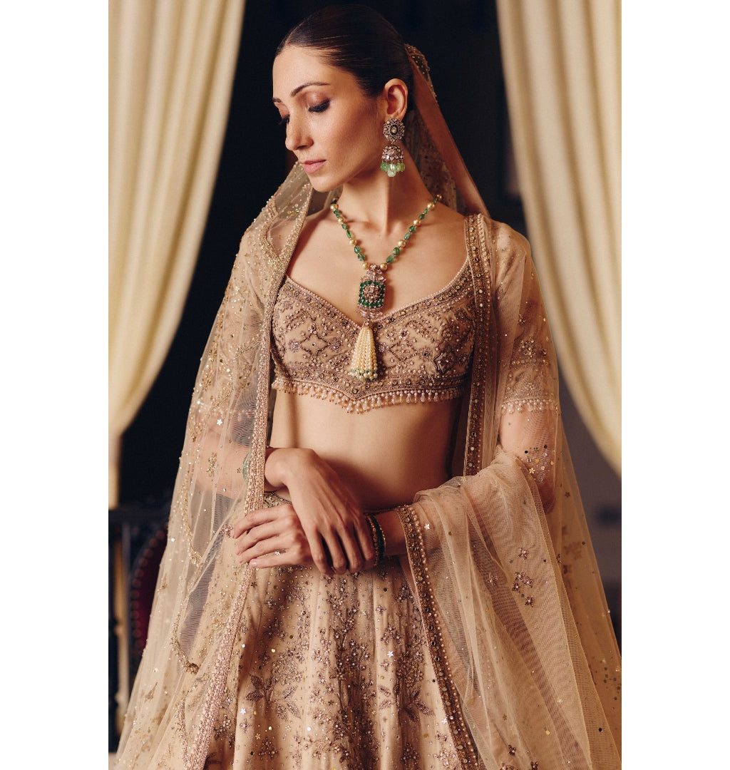 The Dripping Gold Tara Lehenga Set