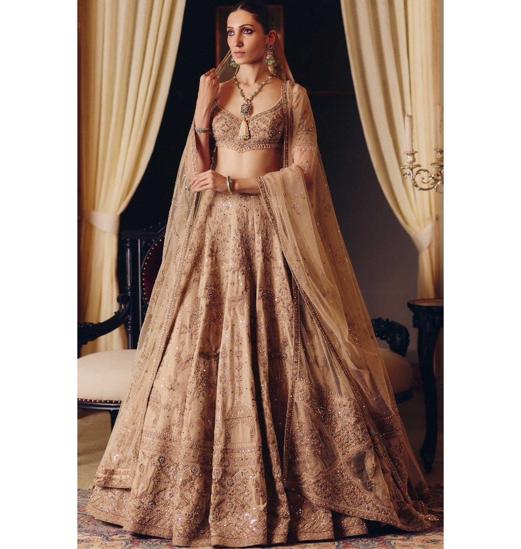 The Dripping Gold Tara Lehenga Set