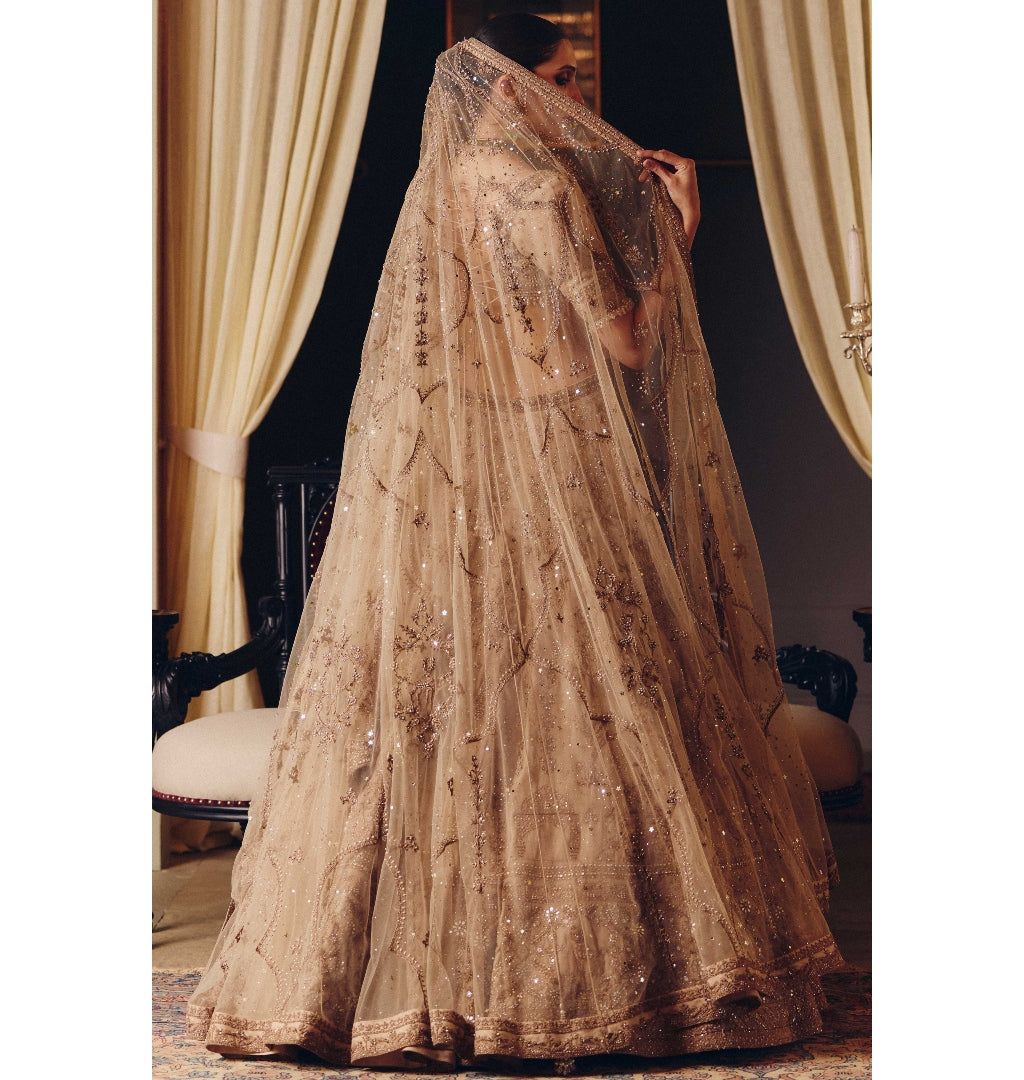 The Dripping Gold Tara Lehenga Set