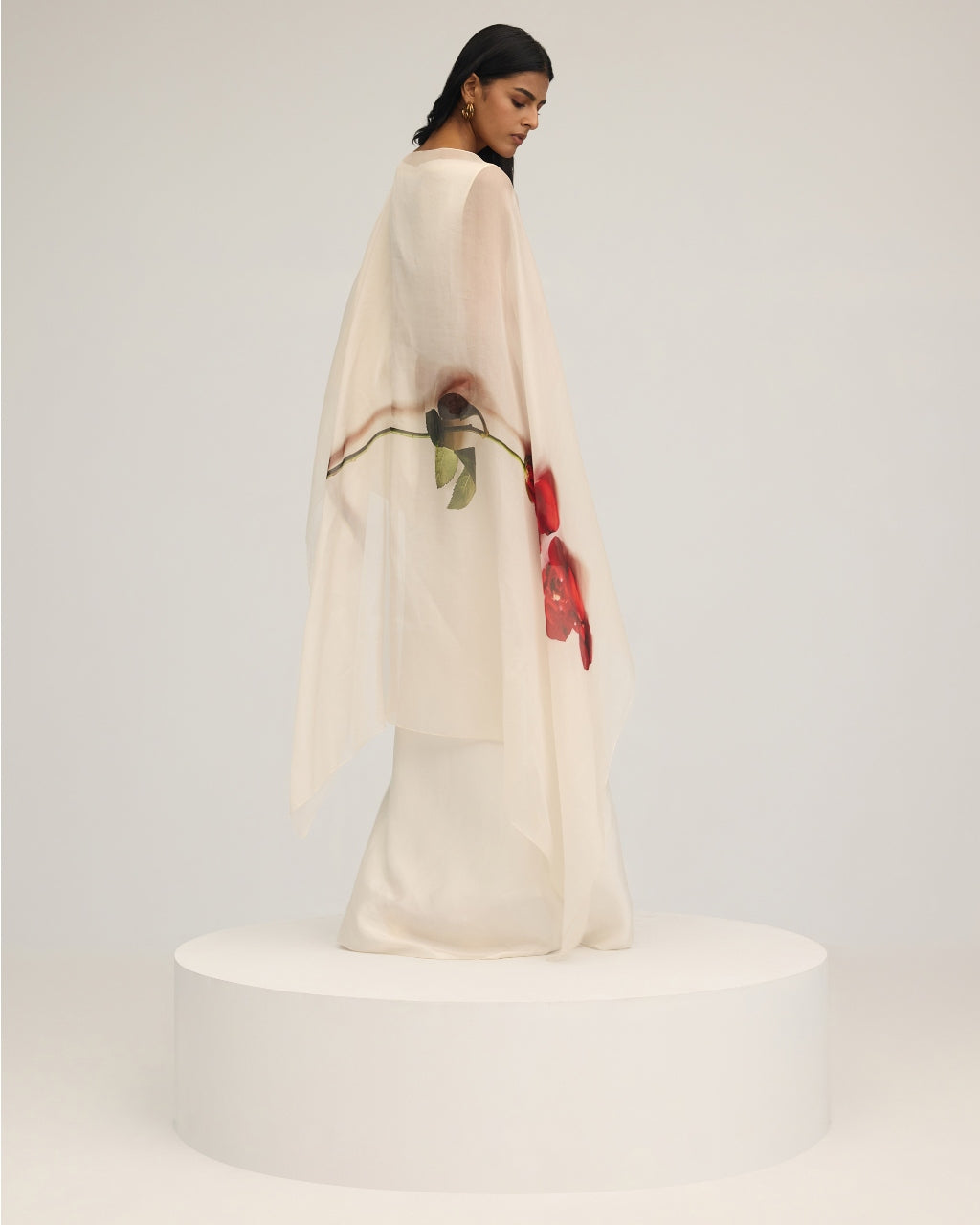 Louis Dress And Cape