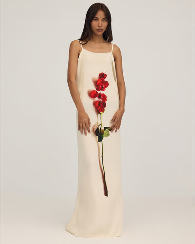 Anouk Dress
