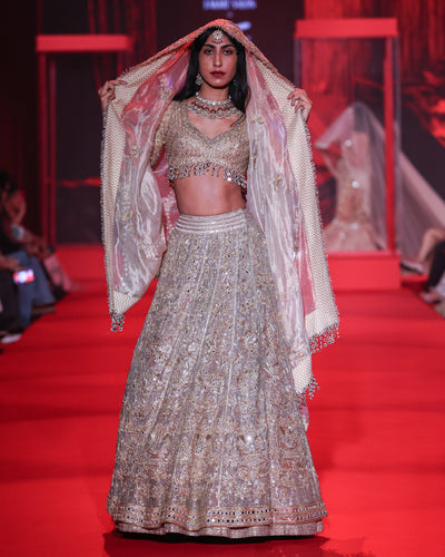 Hemangini Lehenga Set