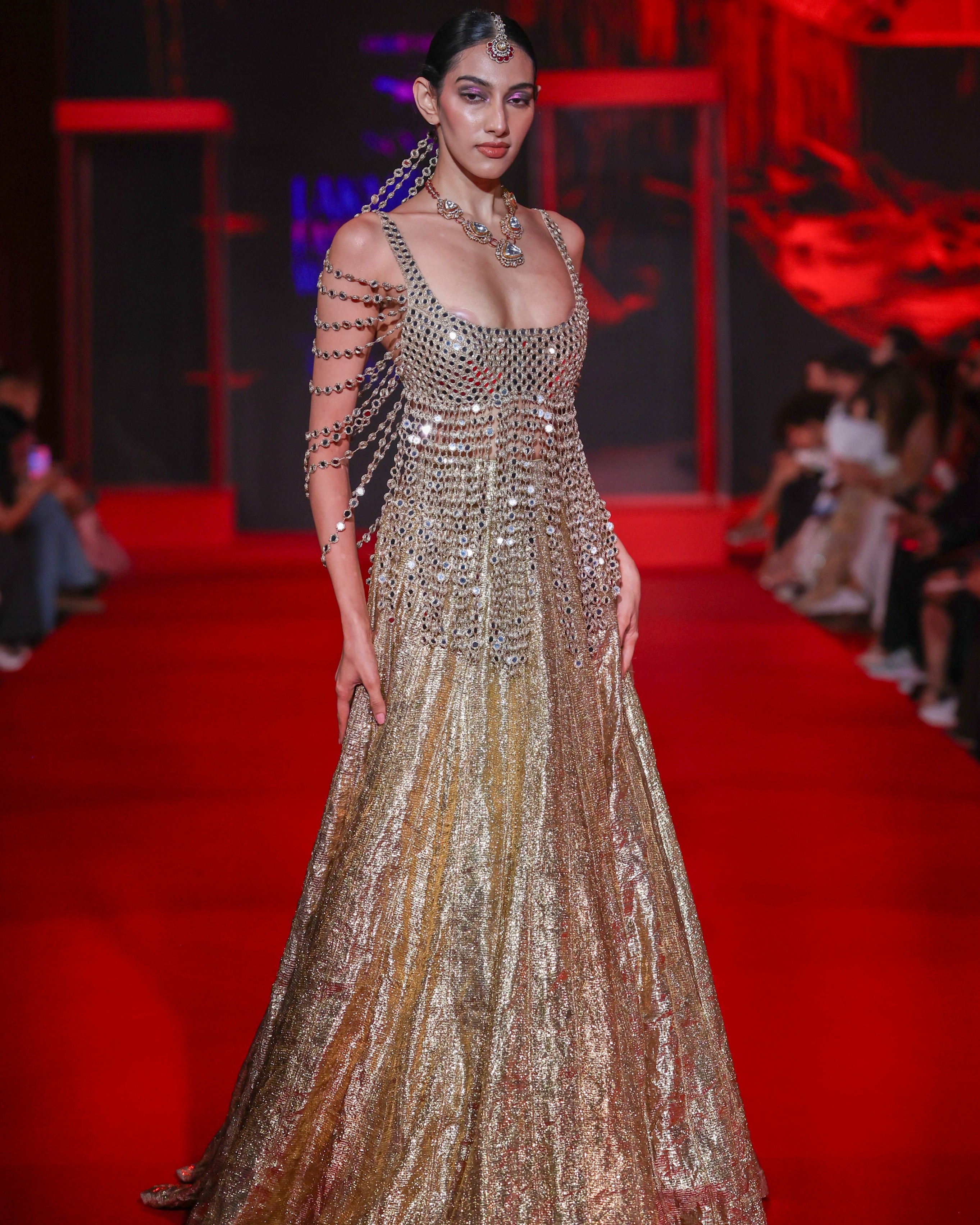 Darpanika Lehenga Set