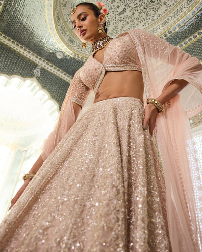 Glimpse Lehenga Set