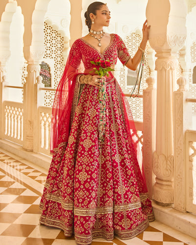 Wishful Lehenga Set