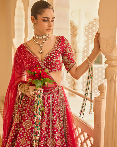 Wishful Lehenga Set