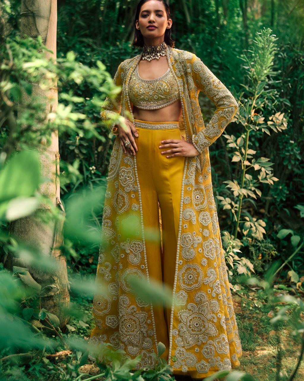 Mustard Embroidered Jacket And Pants Set