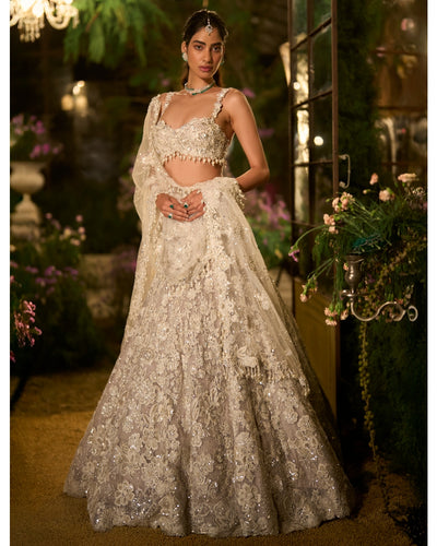 Ice Grey Pearl Lehenga Set