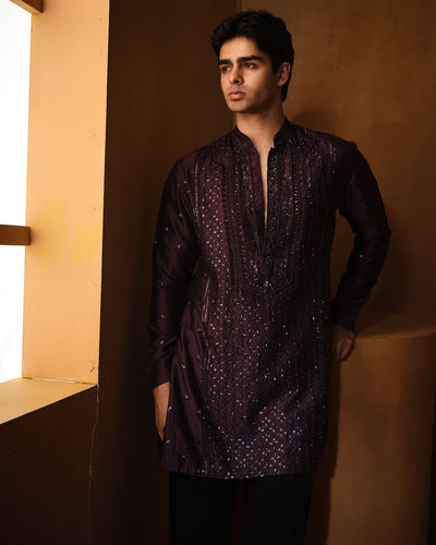 Wine Chanderi Cutdana Kurta