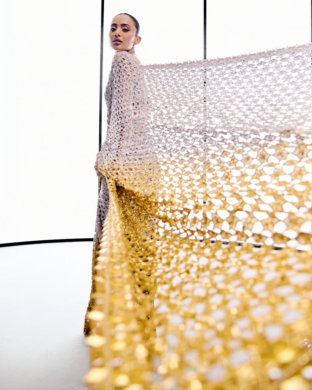 Silver To Ochre Cutwork Sari Set