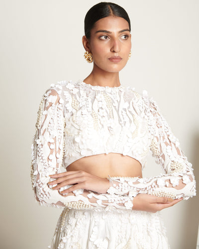 Ecru Floral Applique Blouse With Pearl Opalescent Lehenga