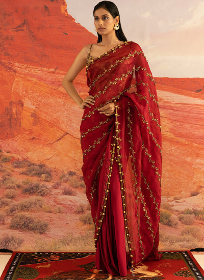 Coccinella Ivy Skein Sheer Tailored Sari