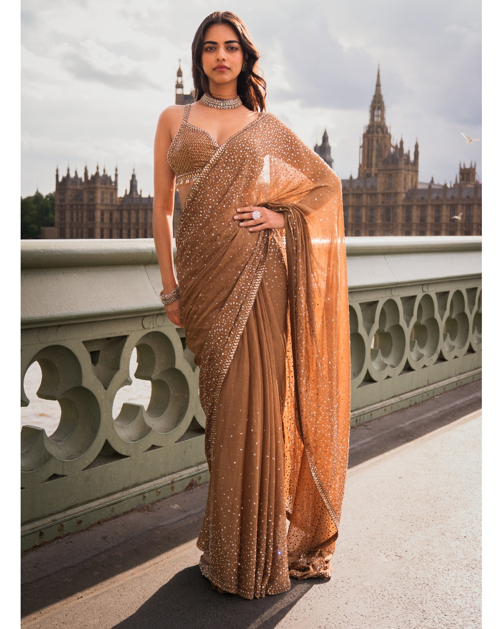 Antique Gold Crystal Sari