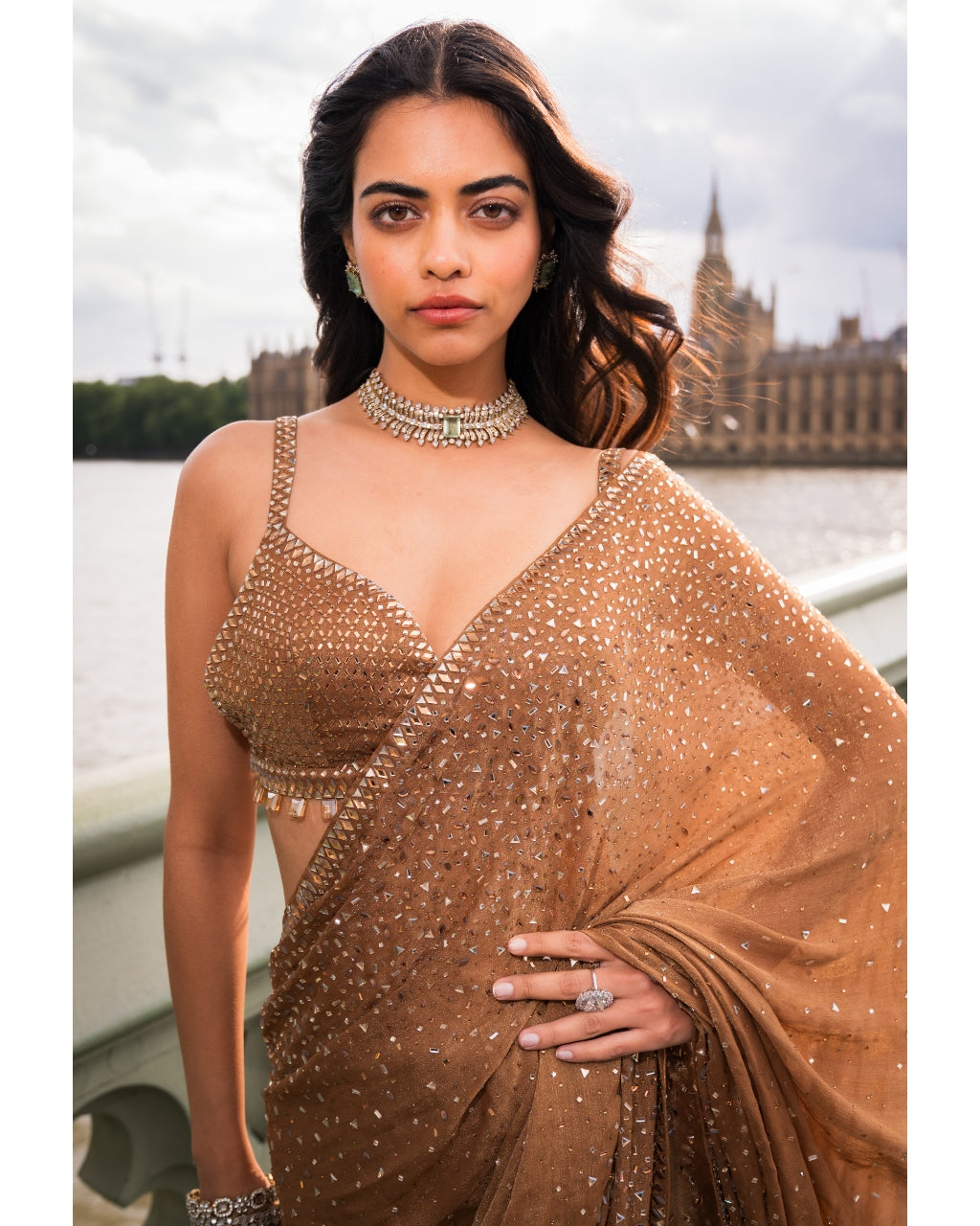 Antique Gold Crystal Sari