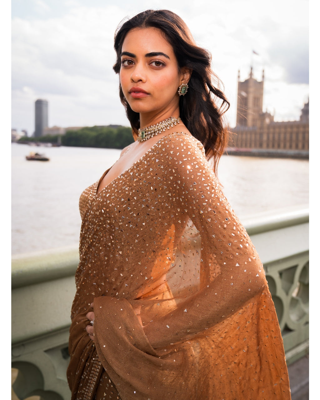 Antique Gold Crystal Sari