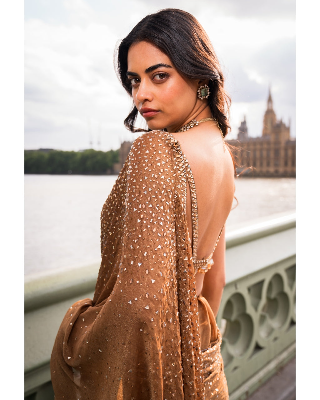 Antique Gold Crystal Sari