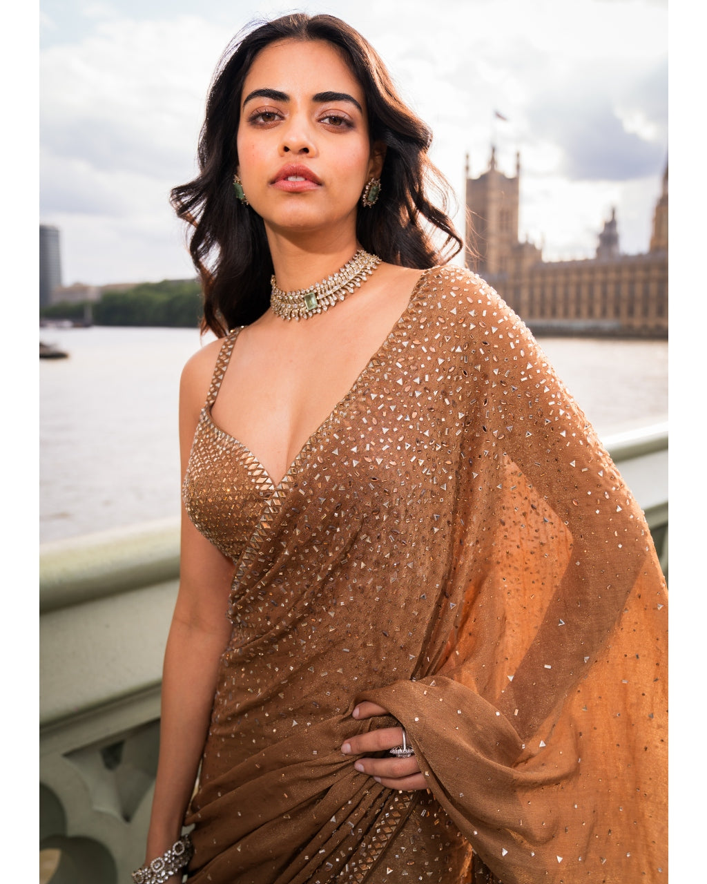 Antique Gold Crystal Sari