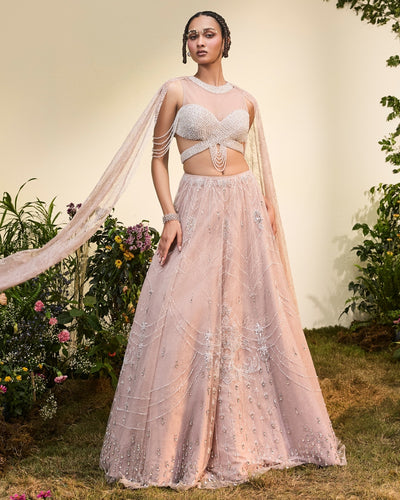Old Rose Crystal Lehenga With Beaded Blouse
