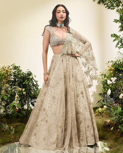 Mint Green Cutwork Lehenga Sari With Lace Aanchal Beaded Blouse
