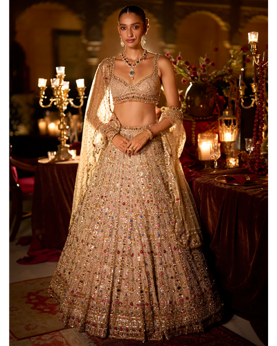 Multi-Coloured Stone & Pearl Lehenga Set