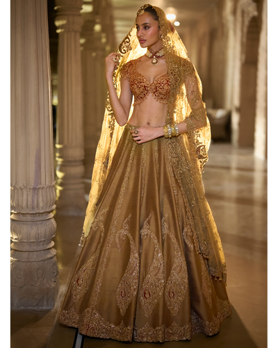 Gold Paisely Lehenga Set
